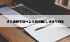 病因病理学指什么指标呢图片,病理学因素