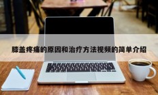 膝盖疼痛的原因和治疗方法视频的简单介绍