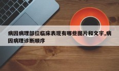 病因病理部位临床表现有哪些图片和文字,病因病理诊断顺序