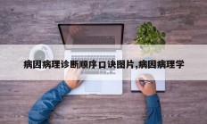 病因病理诊断顺序口诀图片,病因病理学