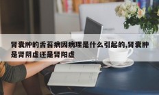 肾囊肿的舌苔病因病理是什么引起的,肾囊肿是肾阴虚还是肾阳虚