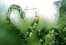 肾结石治疗方法有几种,肾结石治疗方法有几种图片