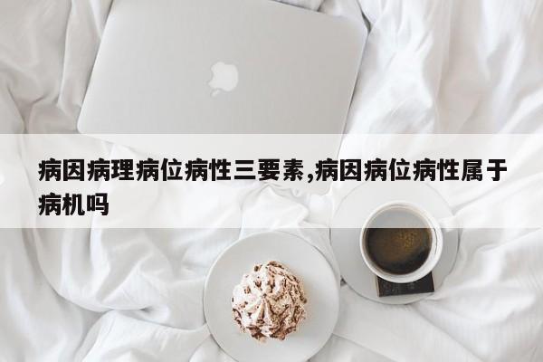 病因病理病位病性三要素,病因病位病性属于病机吗